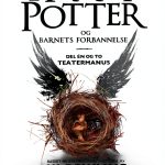Pottermore Norwegian Harry Potter Playbook Kindle eBook 394 Pages-0