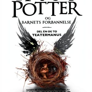Pottermore Norwegian Harry Potter Playbook Kindle eBook 394 Pages-0