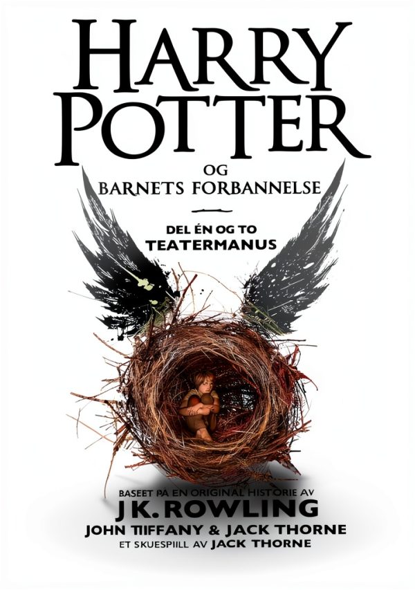 Pottermore Norwegian Harry Potter Playbook Kindle eBook 394 Pages-0